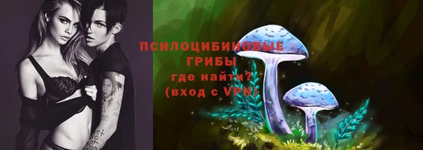 ешки Абинск